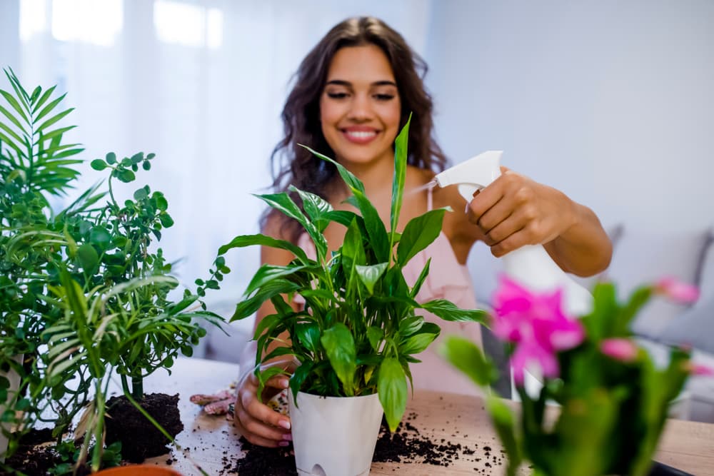 Ponlo todo hermoso, al estilo feng shui, cambiando muebles, poniendo flores, plantas, para que atraigas esa energía positiva que cambiará todo en tu vida.