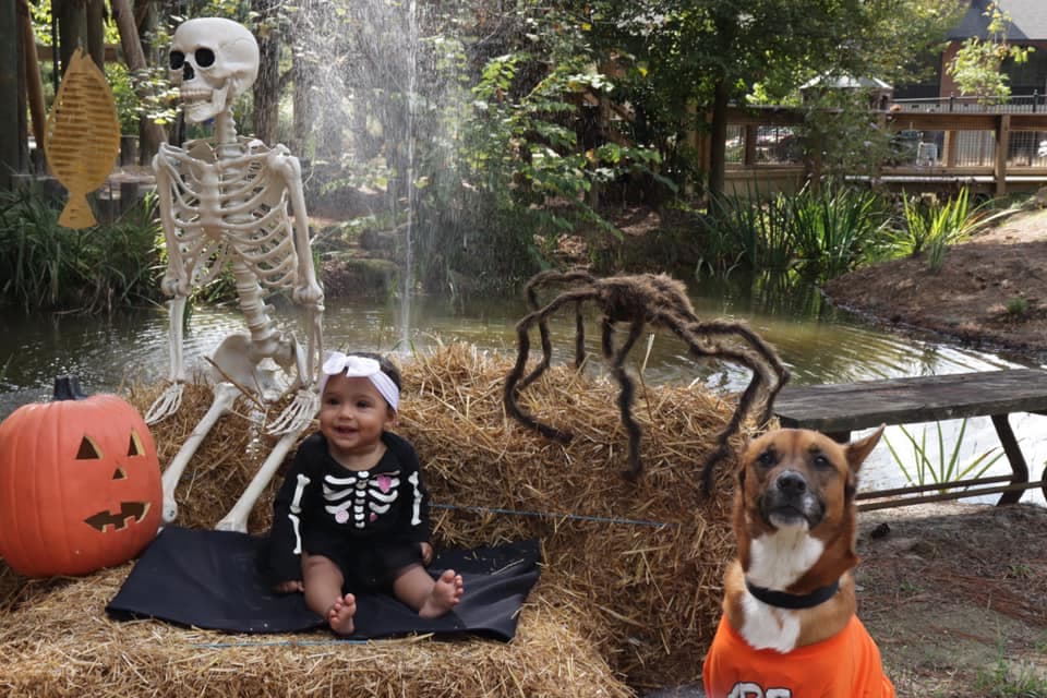 <b><a href="https://www.capefearbg.org/event/boo-tanical-in-the-garden/" target="_blank">Halloween at the BOO-tanical Garden (30 y 31 de octubre)</a></b>: Este evento familiar se llevará a cabo en el Cape Fear Botanical Garden de Fayeteville y contará con personajes disfrazados y diversión.