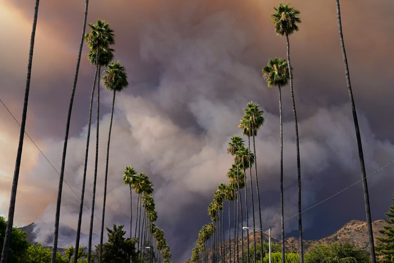 Otro fenómeno natural reportado este fin de semana fue lo que el Servicio Nacional de Meteorología identificó como un 
<b><a href="https://www.univision.com/shows/despierta-america/tornados-de-fuego-albert-martinez-nos-explica-que-son-y-como-se-forman-video">tornado de fuego. </a></b>