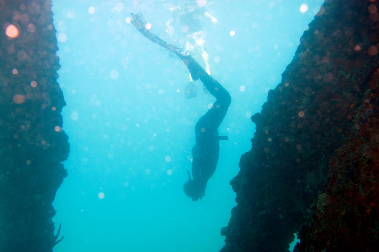 Proteger la vida marina podría ayudar a que los océanos funcionen mejor, absorbiendo más carbono y proporcionando barreras contra el aumento del nivel del mar y las marejadas ciclónicas, como son los manglares y los arrecifes coralinos.