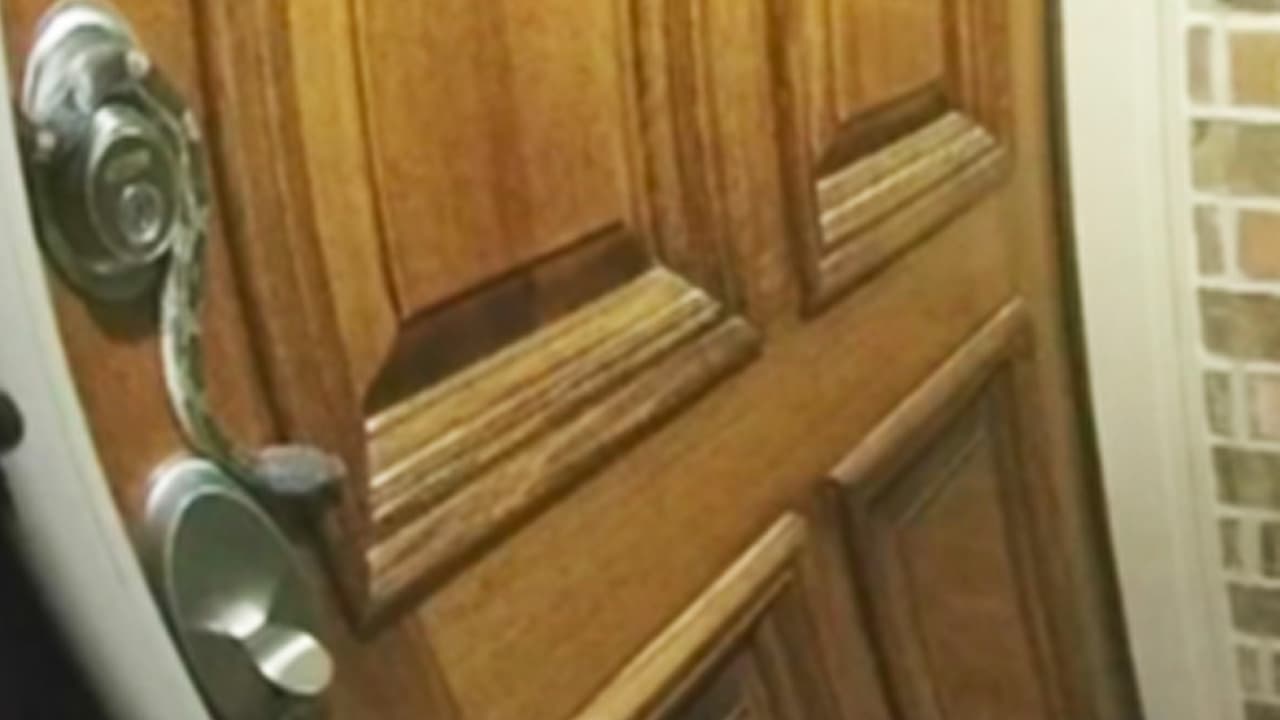 Un visitante inesperado en la madrugada da un gran susto a una pareja en Texas