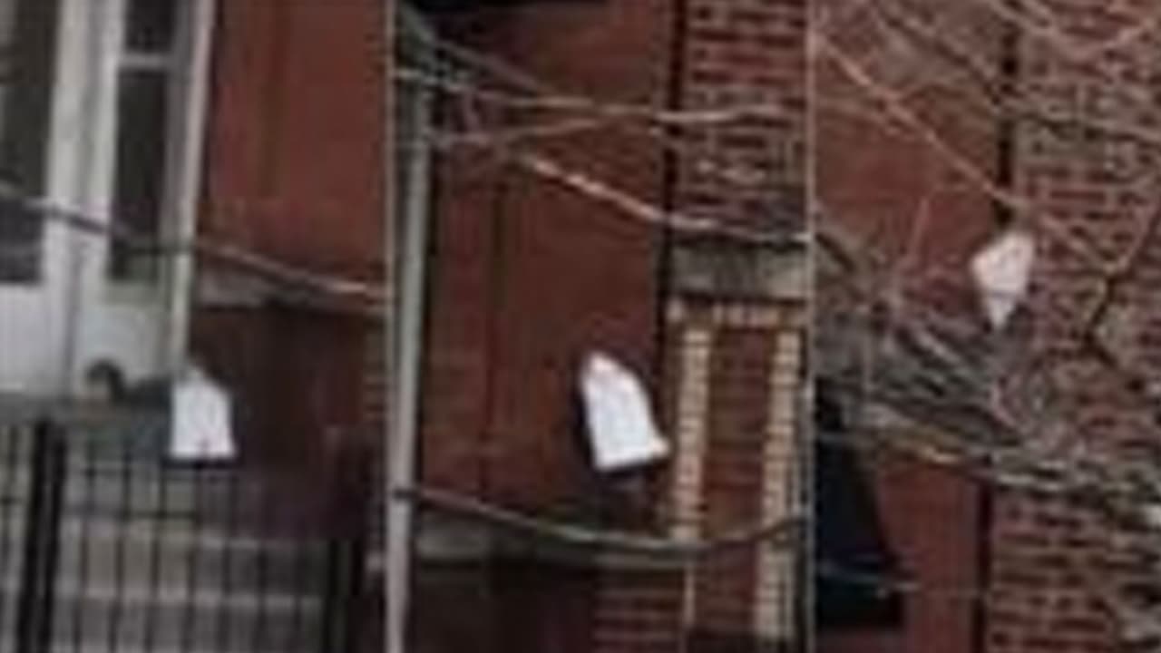 Una ardilla "roba" un paquete de Amazon de una casa en Chicago. Todo quedó grabado en video
