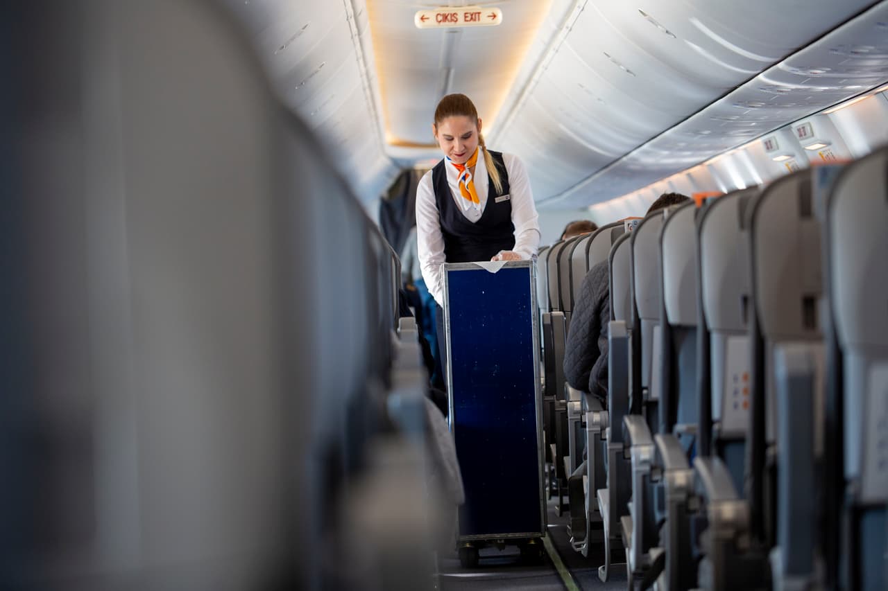 <b>Sobrecargo.</b>
<br>
<br>Salario promedio anual: 56,640 dólares.
<br>
<br>Crecimiento esperado de este empleo para 2029: 17.3%.
<br>
<br>Los auxiliares de vuelo ganan un buen salario, pero es un trabajo altamente demandante. A menudo tratan con pasajeros malhumorados y en los vuelos abarrotados el trabajo es intenso. 
<br>
<br>Además del diploma de secundaria, requerirá de los cursos y certificaciones necesarias para trabajar dentro de un avión.
<br>
<br>
<a href="https://www.univision.com/noticias/dinero/oportunidades-trabajo-contrataciones-companias-covid-19-2021-fotos"><b>Vea aquí 10 grandes compañías están aumentando sus contrataciones para este verano</b></a>