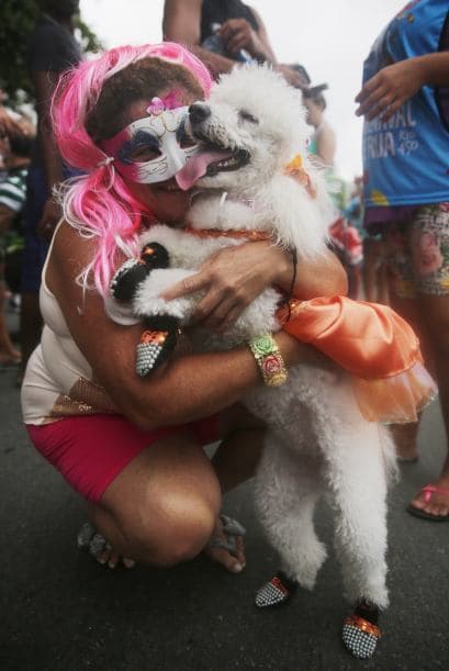 #6 A tu mascota no le va a importar cómo tienes el cabello o cómo te vistes.