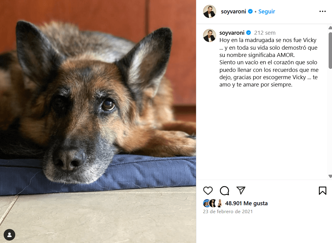 Miguel Varoni lamentó en 2021 el fallecimiento de su perrita, Vicky.