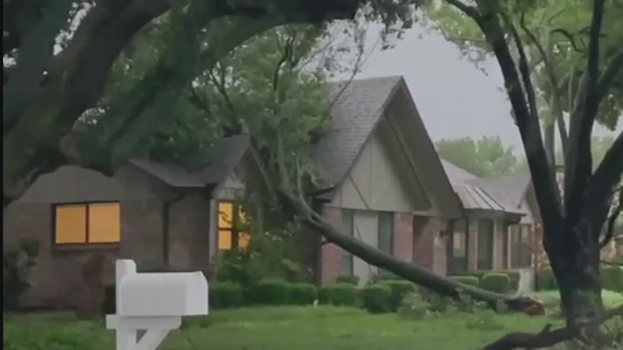 Las imágenes captadas por nuestros usuarios en las redes sociales muestran el impacto de la tormenta en la región: árboles caídos sobre vehículos, casas dañadas y postes eléctricos derribados. 
<br>
<br>La intensidad del granizo y las lluvias ha dejado a muchas personas enfrentando una mañana de martes muy diferente. 
<br>
<br>Se insta a la precaución al conducir debido a los escombros en las carreteras y a mantenerse informado sobre las condiciones viales.