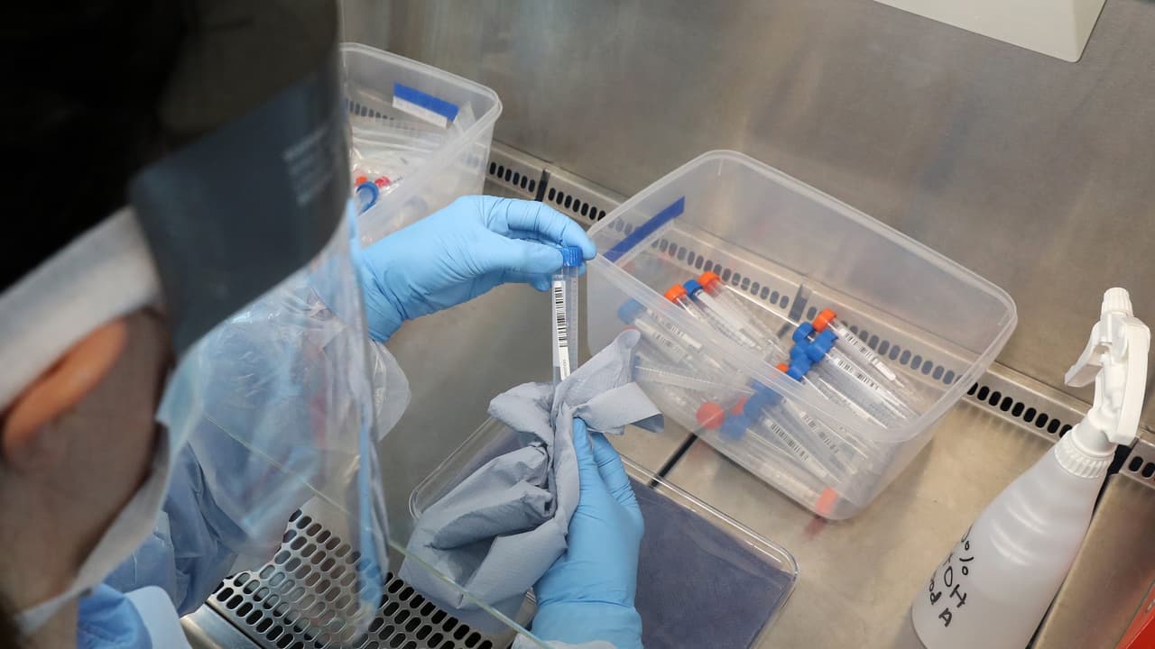 Se dañaron más de 1,700 pruebas de coronavirus: según el departamento de salud de Florida