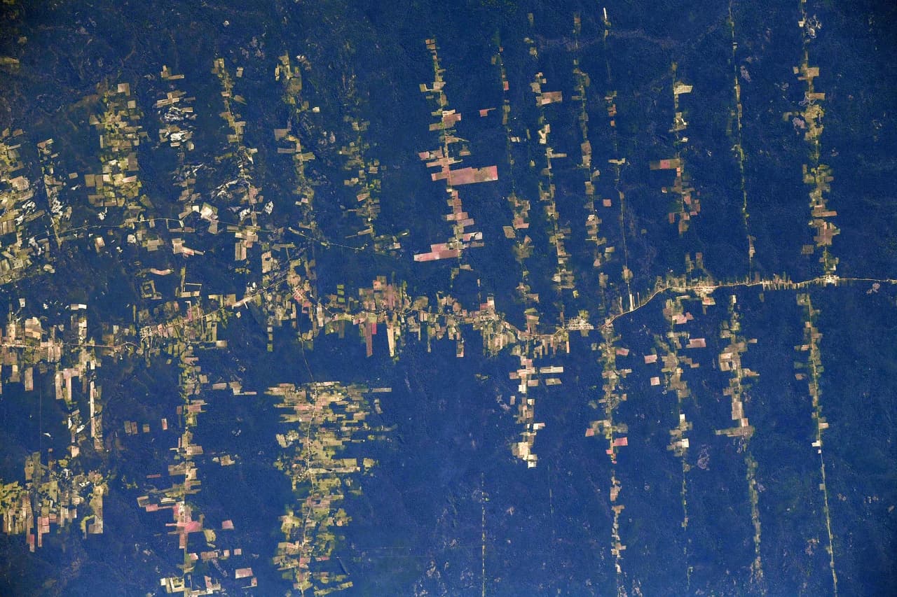 <b>Deforestación en el Amazonas</b>
<br>
<br>“Se puede ver claramente dónde se ha eliminado la selva tropical. Sin los árboles y sus raíces la erosión y la sedimentación contaminan los ríos. La selva amazónica se ha convertido en un símbolo visual de las reservas ecológicas de la Tierra, pero la huella de la humanidad es mucho más, desde los océanos y la pesca hasta la infraestructura urbana y la agricultura”, dijo el astronauta sobre esta imagen.
<br>