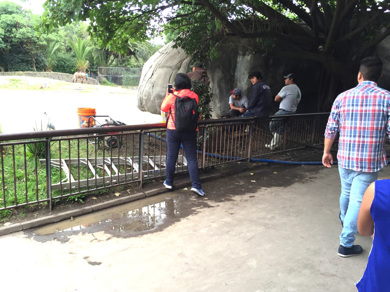 Visitantes y trabajadores en la zona.