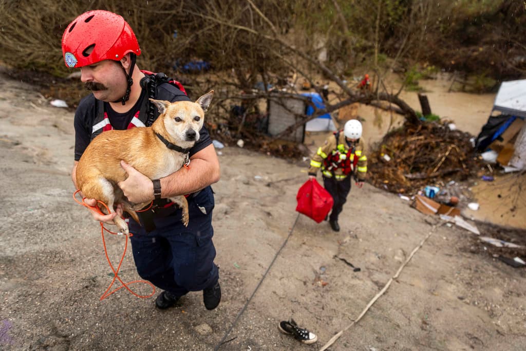 La misión de rescate de los Bomberos de San Bernardino no fue por aire. Bajaron con equipos y cuerdas para salvar personas y mascotas que formaban parte del campamento.