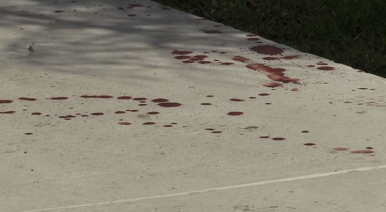 Los paramédicos municipales lo transportaron al hospital para recibir asistencia médica.