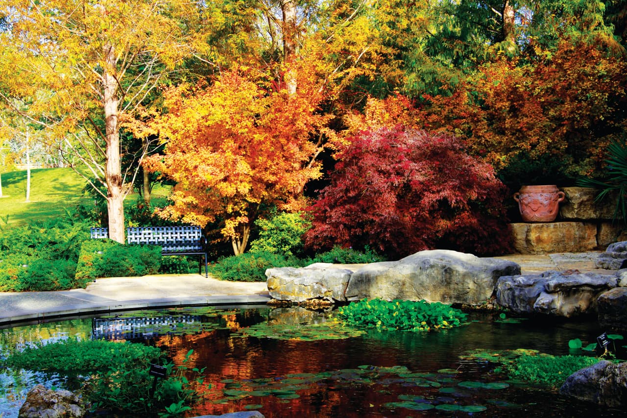 En este espectáculo de otoño también hay 150,000 flores de otoño como margaritas, crisantemos y pentas.
