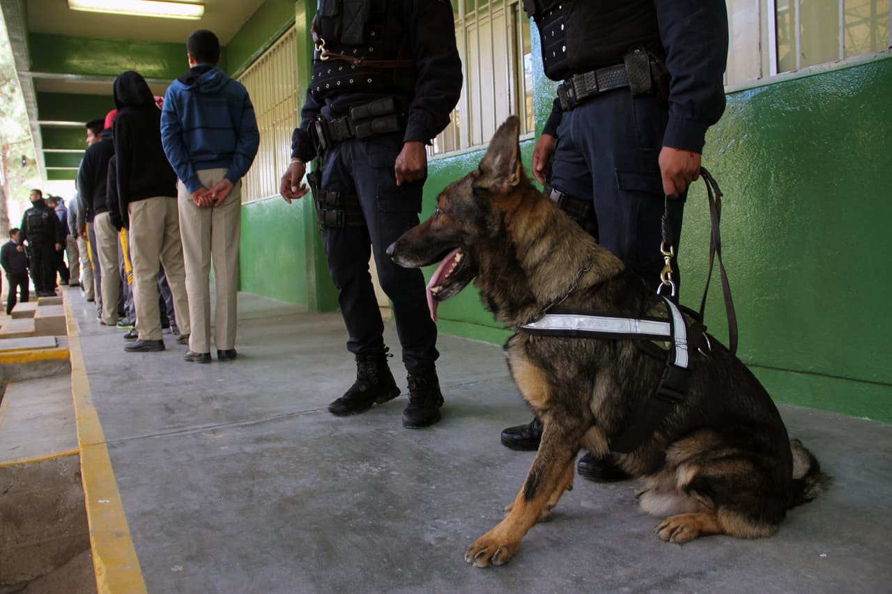 Los hallazgos más recientes de armas se han registrado en los estados de Nuevo
<b> </b>León, el Estado de México, Guerrero y en la Ciudad de México.