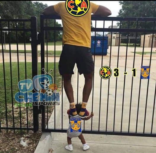 Tigres sale dañado en su pelea con los memes y las redes sociales se burlan de los regios.