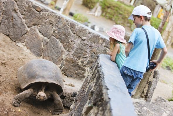 Agrega a tu checklist: las tortugas gigantes e iguanas.