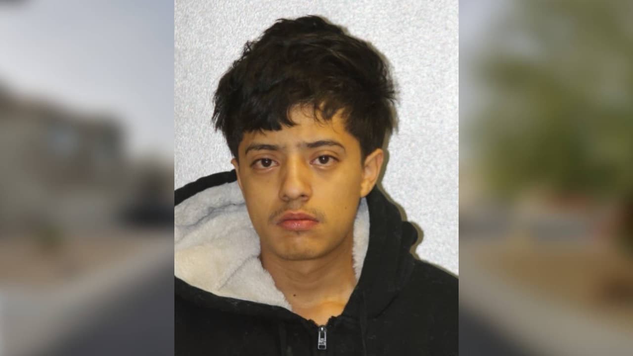 Arrestan a David Artemio Rosales, de 18 años, y a otro joven de robar a mano armada en una parada de autobús escolar.