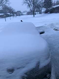 Instituciones culturales como el Planetario Adler y el Acuario Shedd también cerraron.