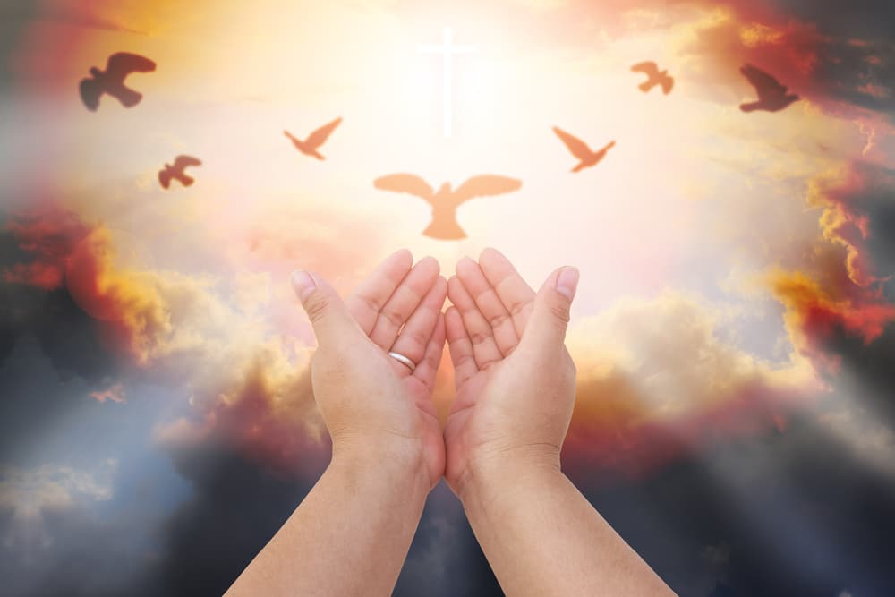 Todos queremos recibir más bendiciones y recibir buenas noticias. ¿Te sientes afectado por algo? ¿No recibes lo que esperabas de la vida, a pesar de tanto esfuerzo? ¿Qué más puedes hacer para ayudar?