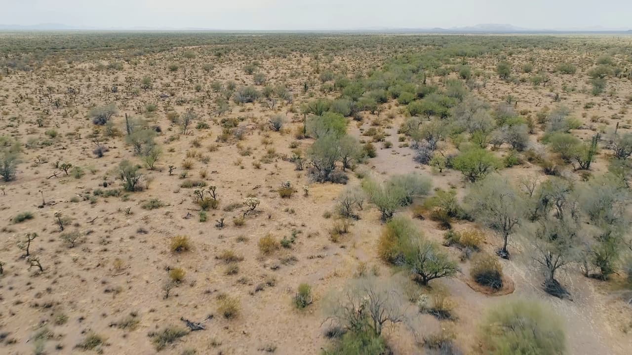 "Buscamos a ciegas, es muy desgastante, tenemos que caminar muchísimo", dice.