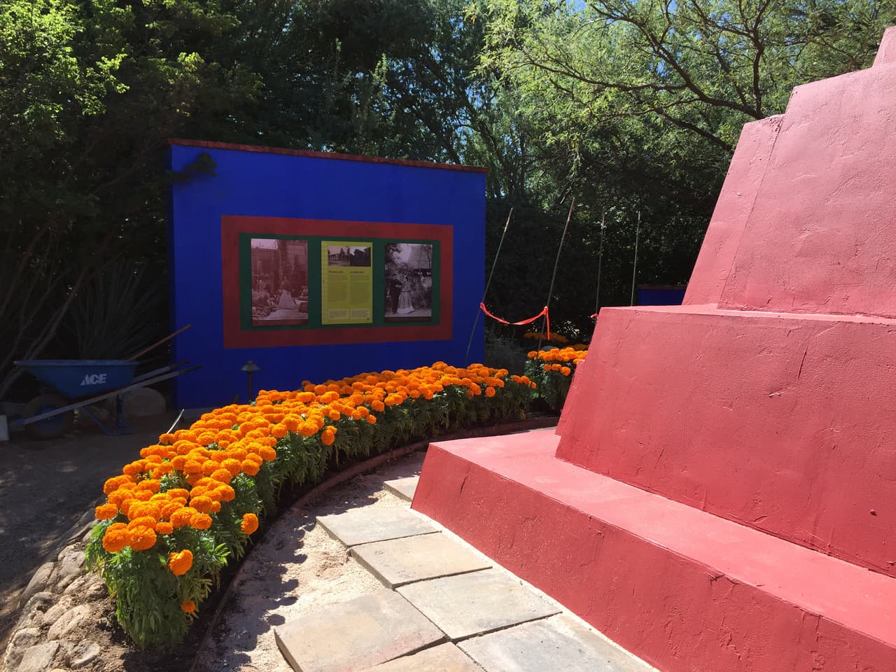 Jardines, color y arte en la exhibición de Frida Kahlo en Tucson