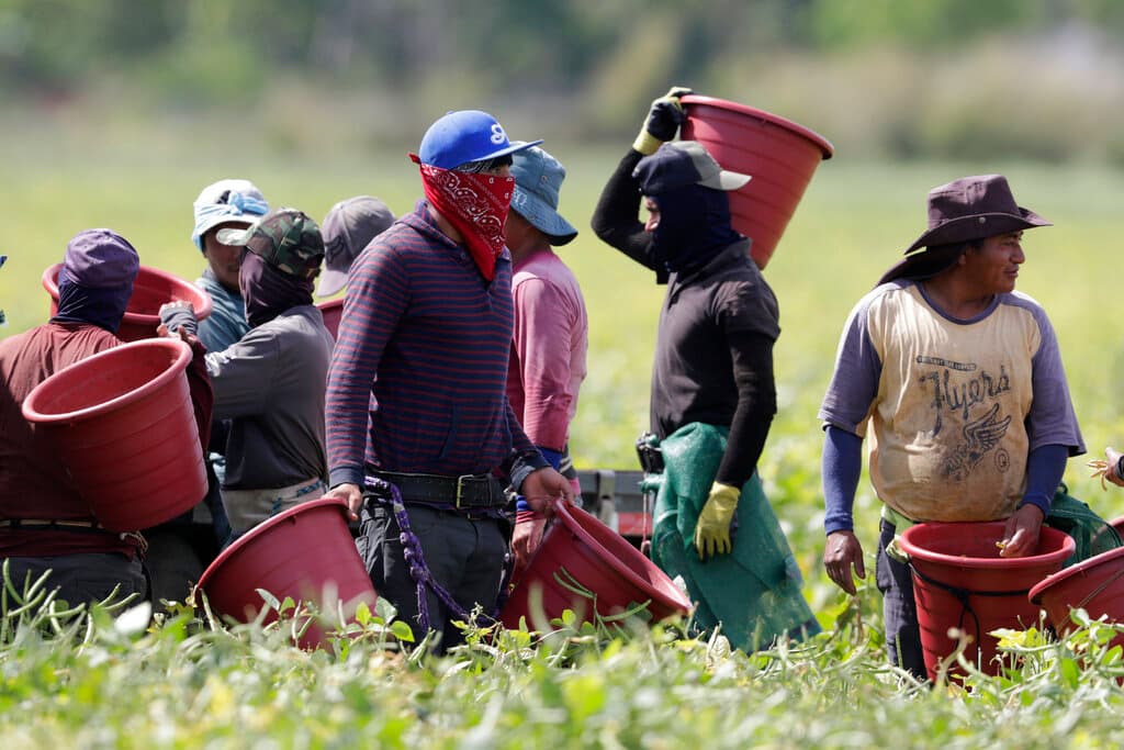 Estas son las organizaciones que repartirán el cheque de estímulo para trabajadores 