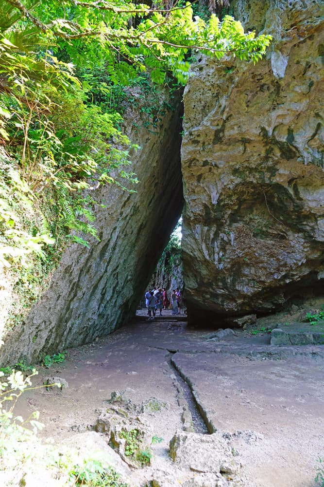 <b>Sefa-utaki en Okinawa</b>
<br>Este bosque especial de Japón significa "lugar de purificación". Está cerca de la Isla Kudaka, que también es conocida como la "isla de los dioses". Se le considera un lugar sagrado por la religión okinawa, nativa del lugar, y fue nombrado Patrimonio Histórico por la Unesco.