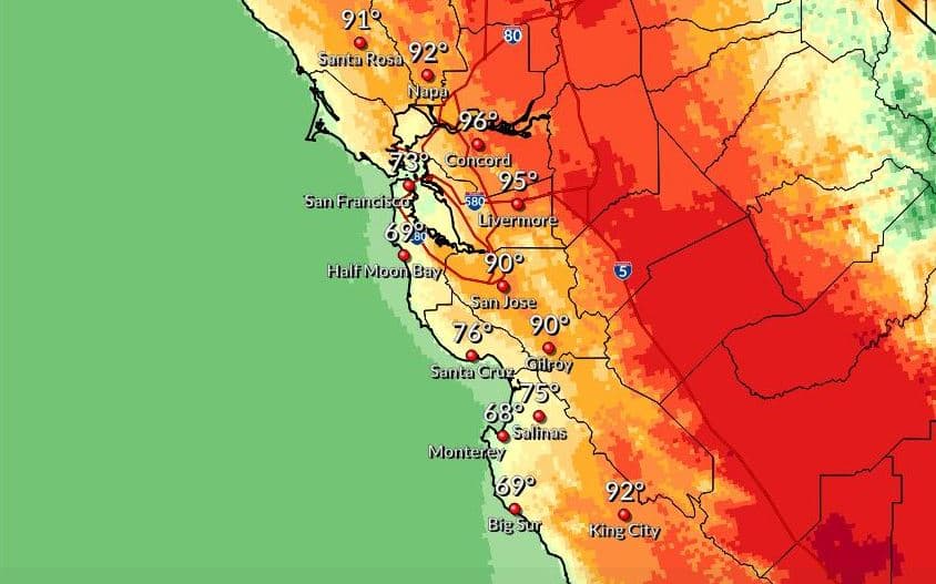 Alertan de riesgos para bebés y mascotas por las altas temperaturas en el Área de la Bahía
