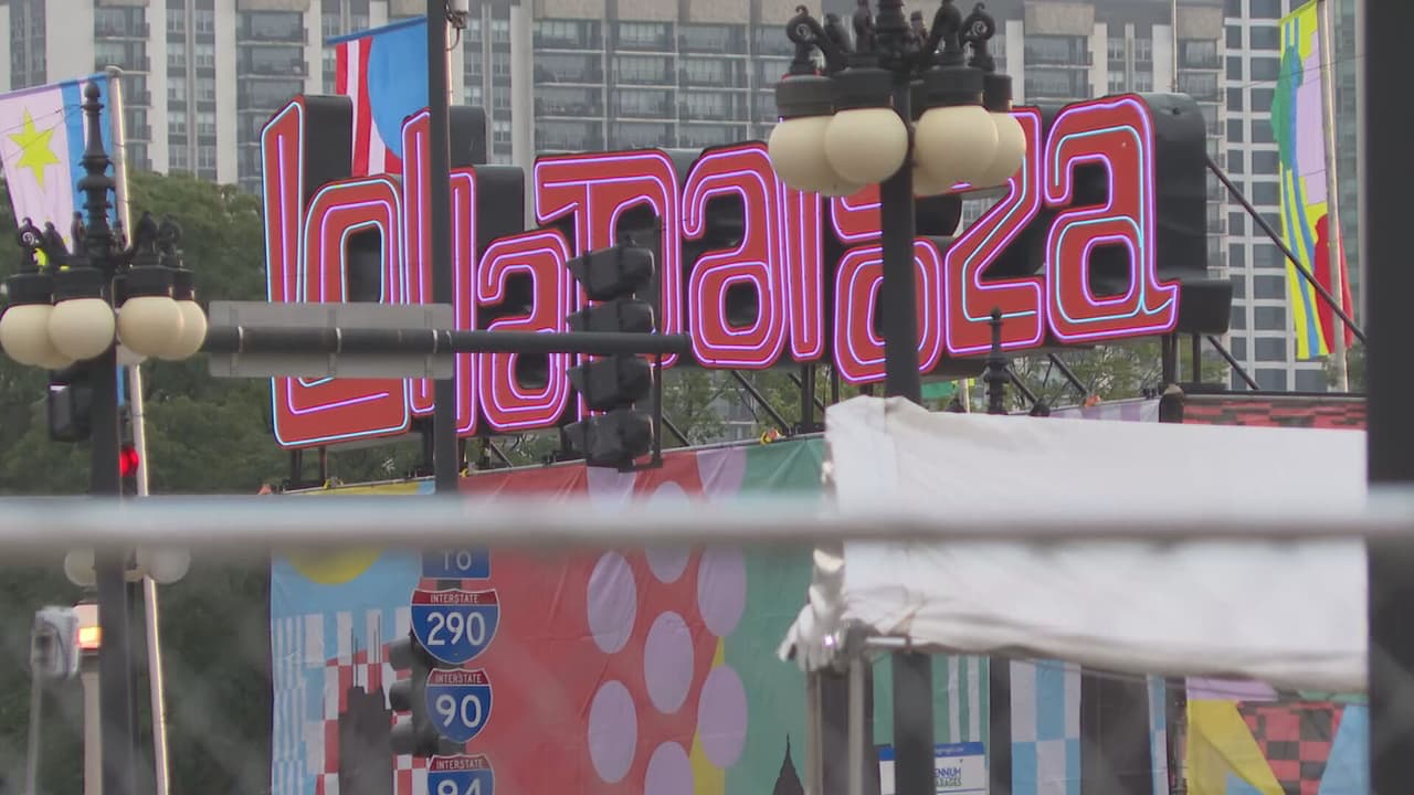 Los orígenes del Lollapalooza se remontan a 1991 como una gira de despedida del cantante Perry Farrel. En el 2010 se anunció que el festival permanecería en Chicago, aunque también se realizará fuera de Estados Unidos, en países como Chile, Argentina, entre otros.