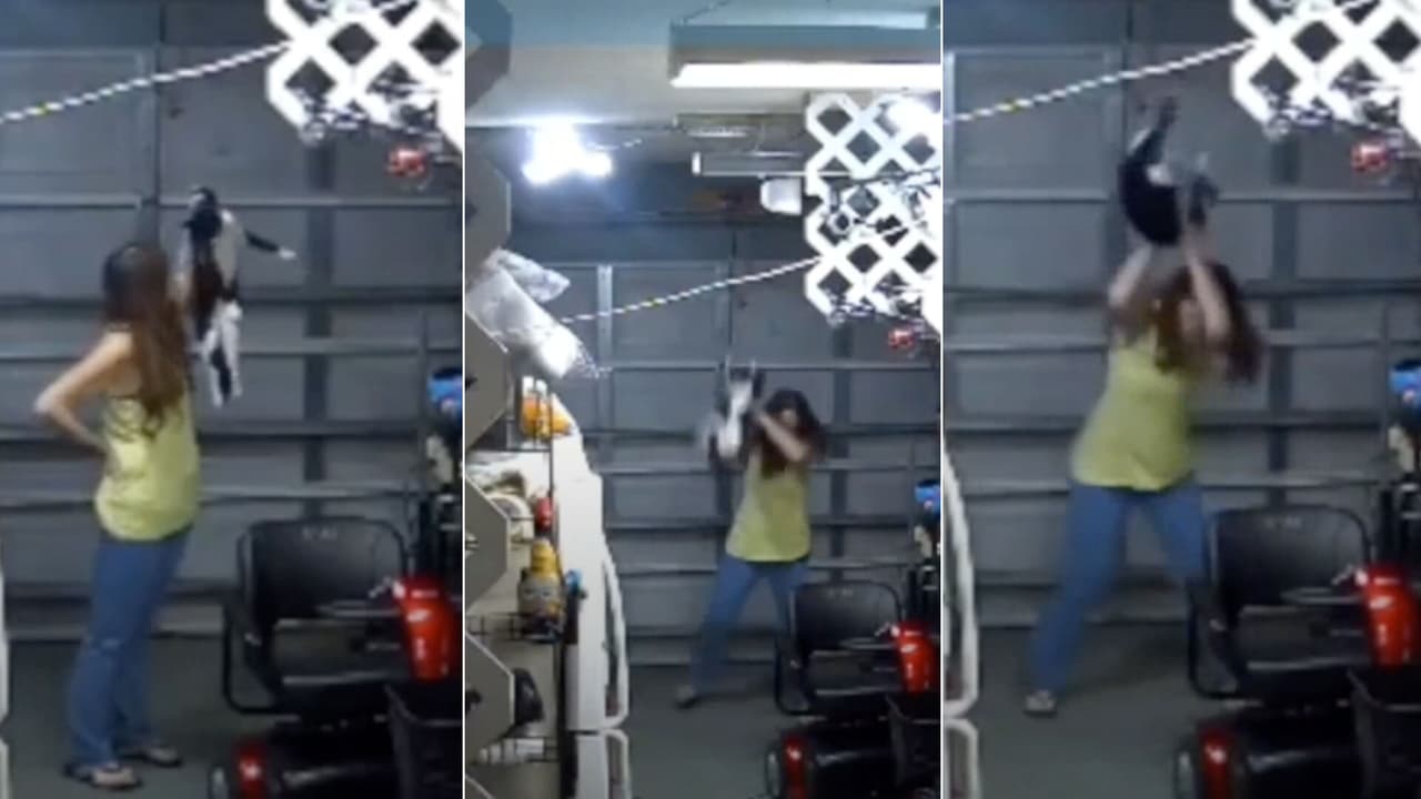 Mujer trata de matar a su gato con sus propias manos y todo queda grabado en video