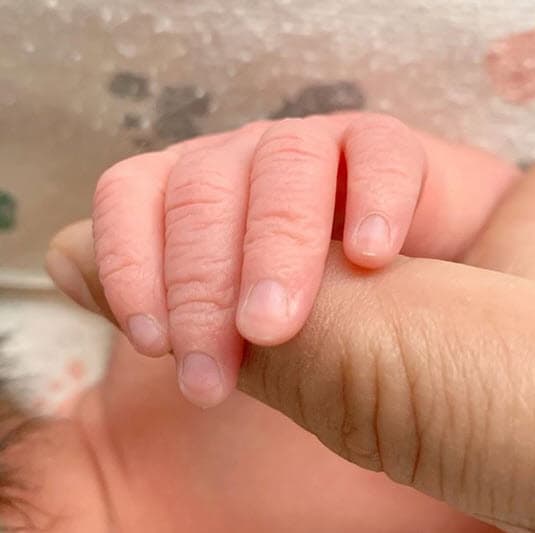 Hasta ahora se han recaudado 21,660 dólares y no se han dado más declaraciones acerca del estado de salud de Dante.