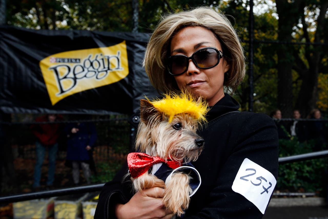 Kathy Lee disfrazada de Clinton y su Yorkie Freddy posan en una parada de canes en Nueva York. (Jason DeCrow para PurinaBeggin y PetSmart vía Getty Images)