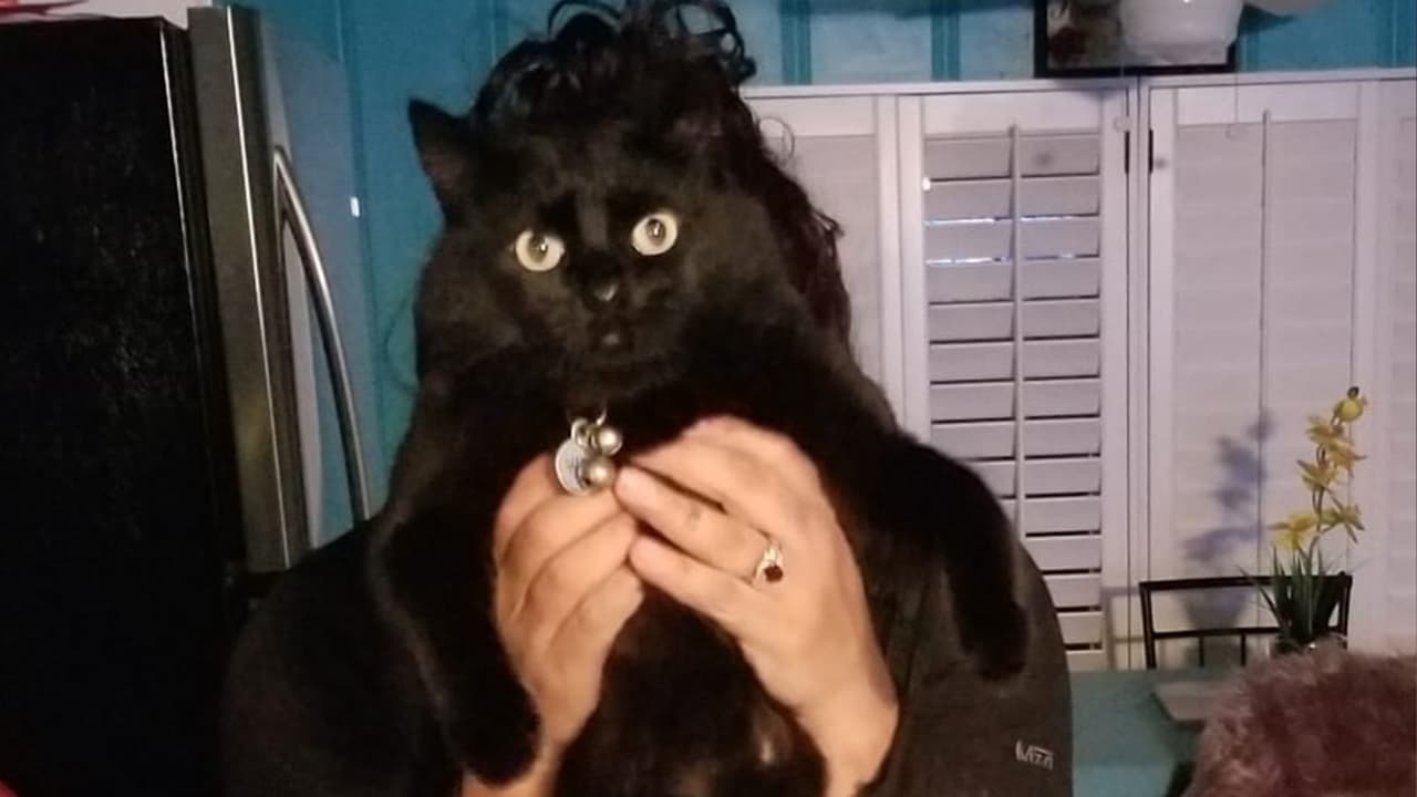 Fabiana Enya Ruiz - "Night desde Montgomery Texas 😻✌"