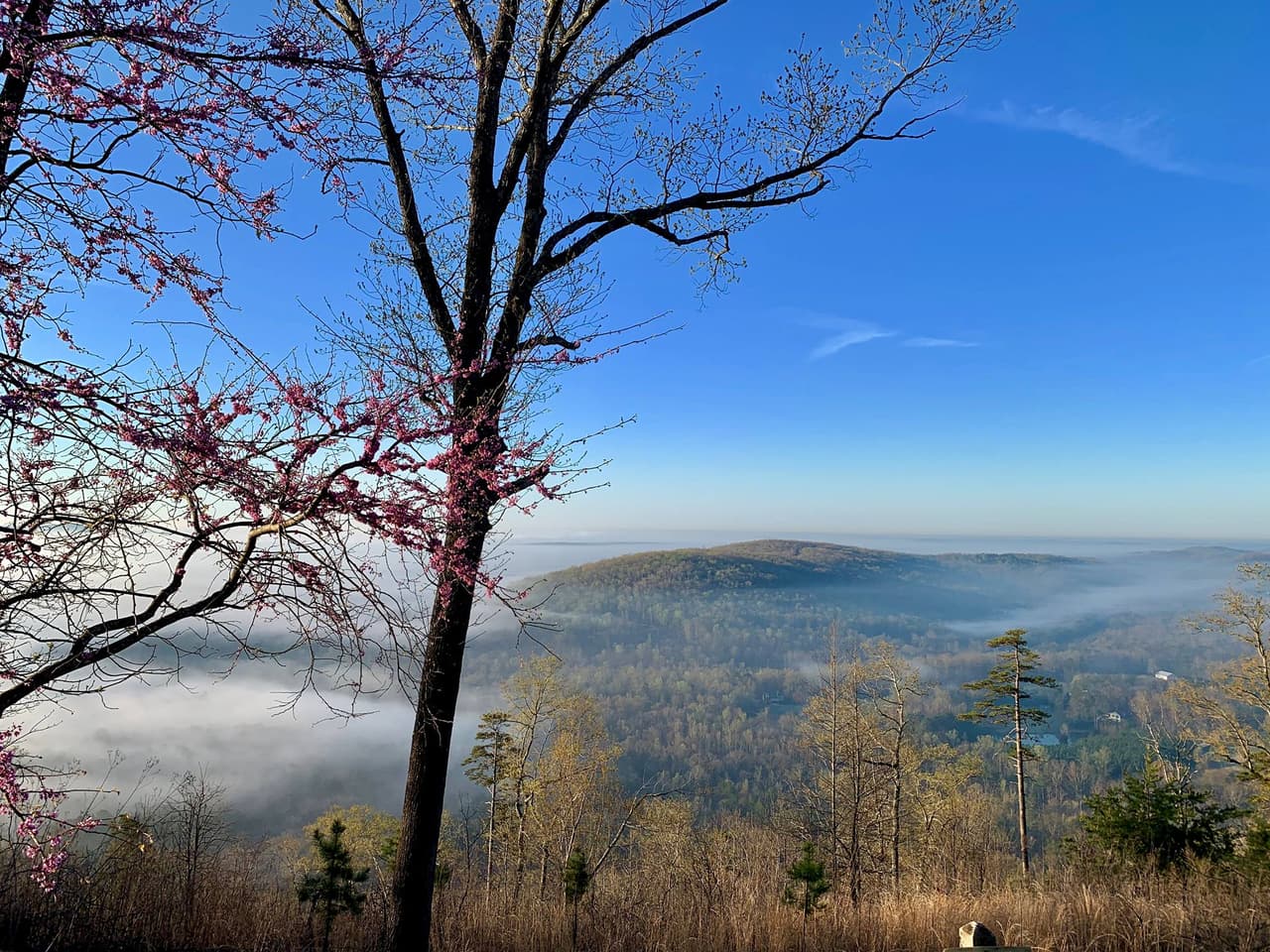 Para llegar, debes dirigirte al 49104 de Morrow Mountain Road.