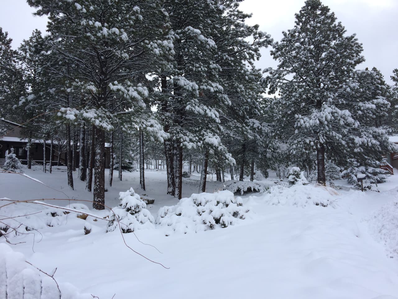 La nieve de Flagstaff llena de turistas el poblado al norte del estado.