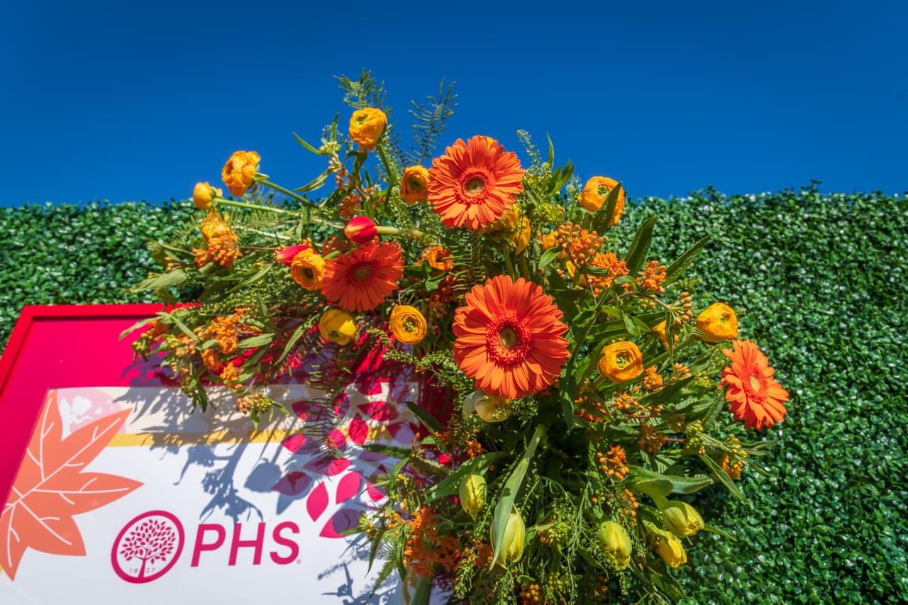 <b>Entradas y Horarios</b>
<br>Las entradas para la Exposición de Flores están a la venta en línea. Este año, deben reservarse con anticipación para una sesión de la mañana o una sesión de la tarde. El precio es de $ 45 para adultos, $ 30 para Young Friend (de 18 a 29 años) y $ 20 para niños de 5 a 17 años.