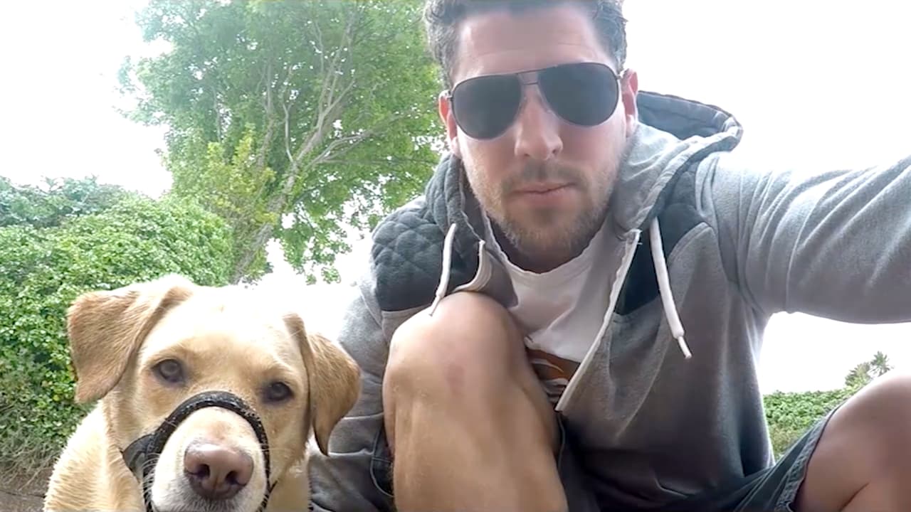 Un joven llevó a su novia a ver la película ‘Jurassic World’, ¡pero preparó una sorpresa que jamás olvidaría!