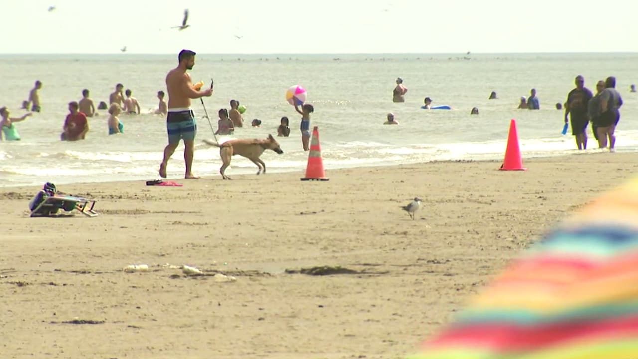 En lo que va de 2016, se han presentado una veintena de casos de personas que han contraído la bacteria "come carne" (vibrio vulnificus) en aguas del golfo. La bacteria infecta sobre todo a personas que tienen ciertas condiciones médicas, como diabetes o enfermedades del hígado. También quienes tienen una herida abierta deben evitar meterse al agua.