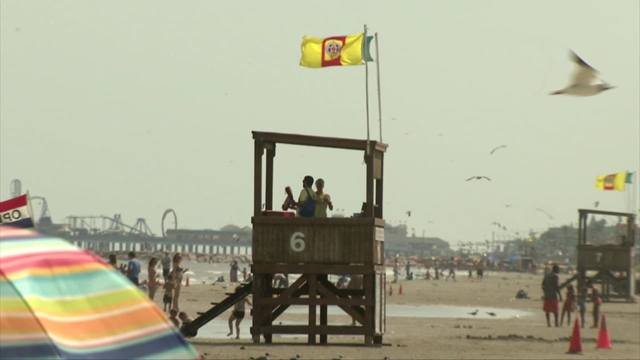 Si tiene dudas o preguntas sobre la seguridad en las playas siempre puede buscar asistencia de los guardias salvavidas.