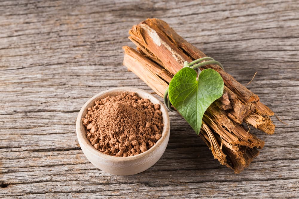 Además, como en cada remedio que alguien quiere tomar, siempre tenemos que subrayar la importancia de consultar siempre a nuestro médico familiar o de cabecera, para ver si es prudente o no el uso de la uña de gato o cualquier otra cosa que queramos probar.