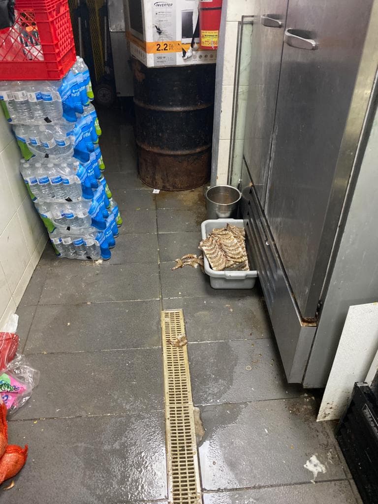 El secretario del Departamento de Salud, Lorenzo González Feliciano, junto con personal de la Unidad de Investigaciones y la Secretaría Auxiliar de Salud Ambiental ordenó el cierre de los establecimientos
<b>Latin Star Restaurant y Dumpling </b>por incumplimiento a la orden ejecutiva y los protocolos de salud ambiental.
<br>