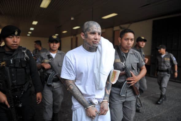 La Mara Salvatrucha, por ejemplo, tuvo su origen en los años 80 en Los Ángeles; varios centroamericanos se organizaron para defenderse de otros grupos en aquel país.