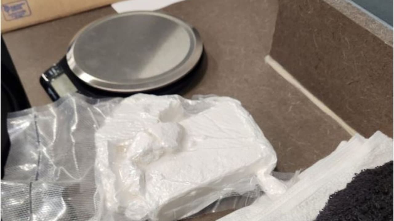 Mujer denuncia que recibió por correo medio kilo "de polvo blanco": Autoridades confirmaron que era cocaína