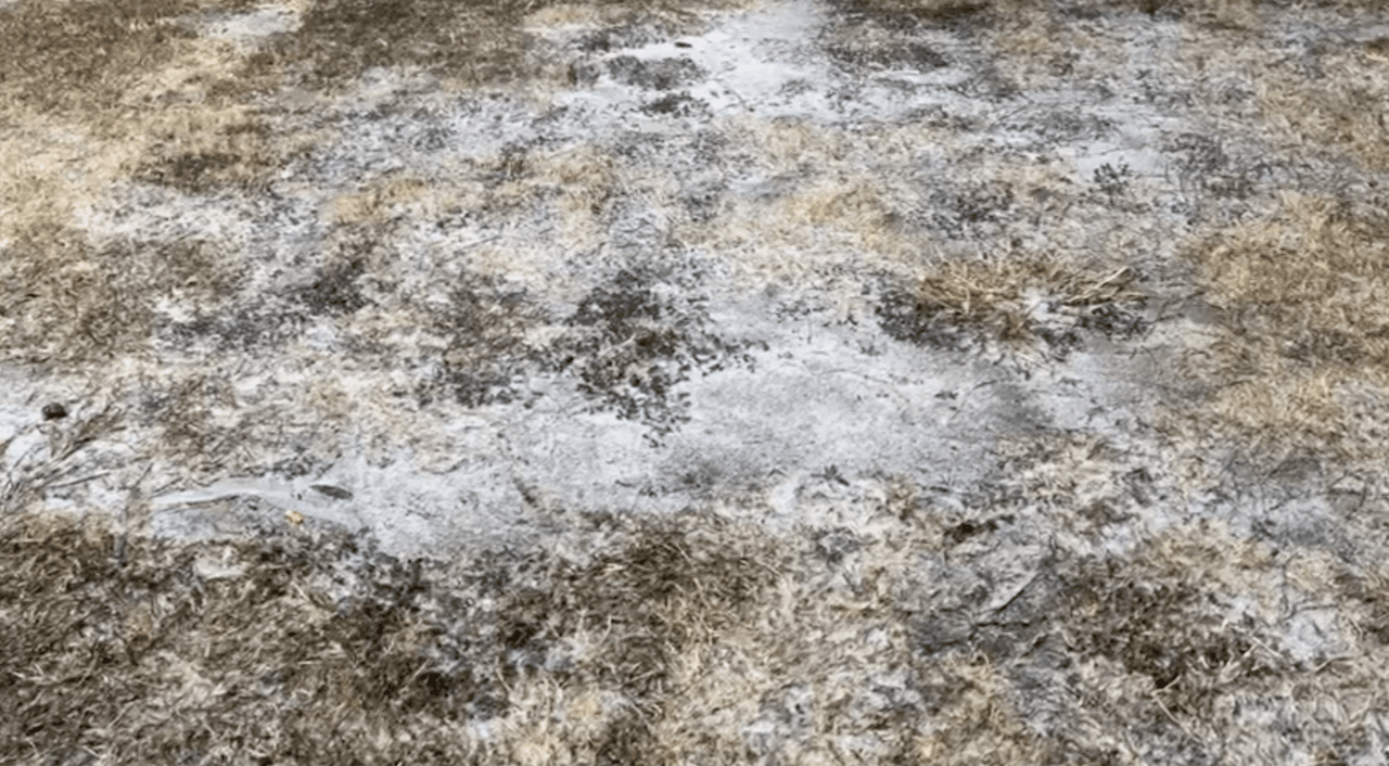 El Servicio Nacional de Meterología pronostica que el evento dure tres días y deje 
<b>la acumulación de hielo de hasta 1/10 de pulgada.</b>