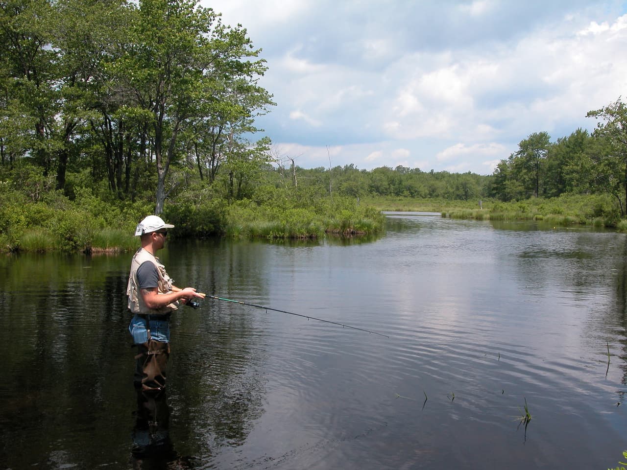 “Por favor, vayan a otra parte”: La petición para aliviar las multitudes en los parques de Pensilvania 