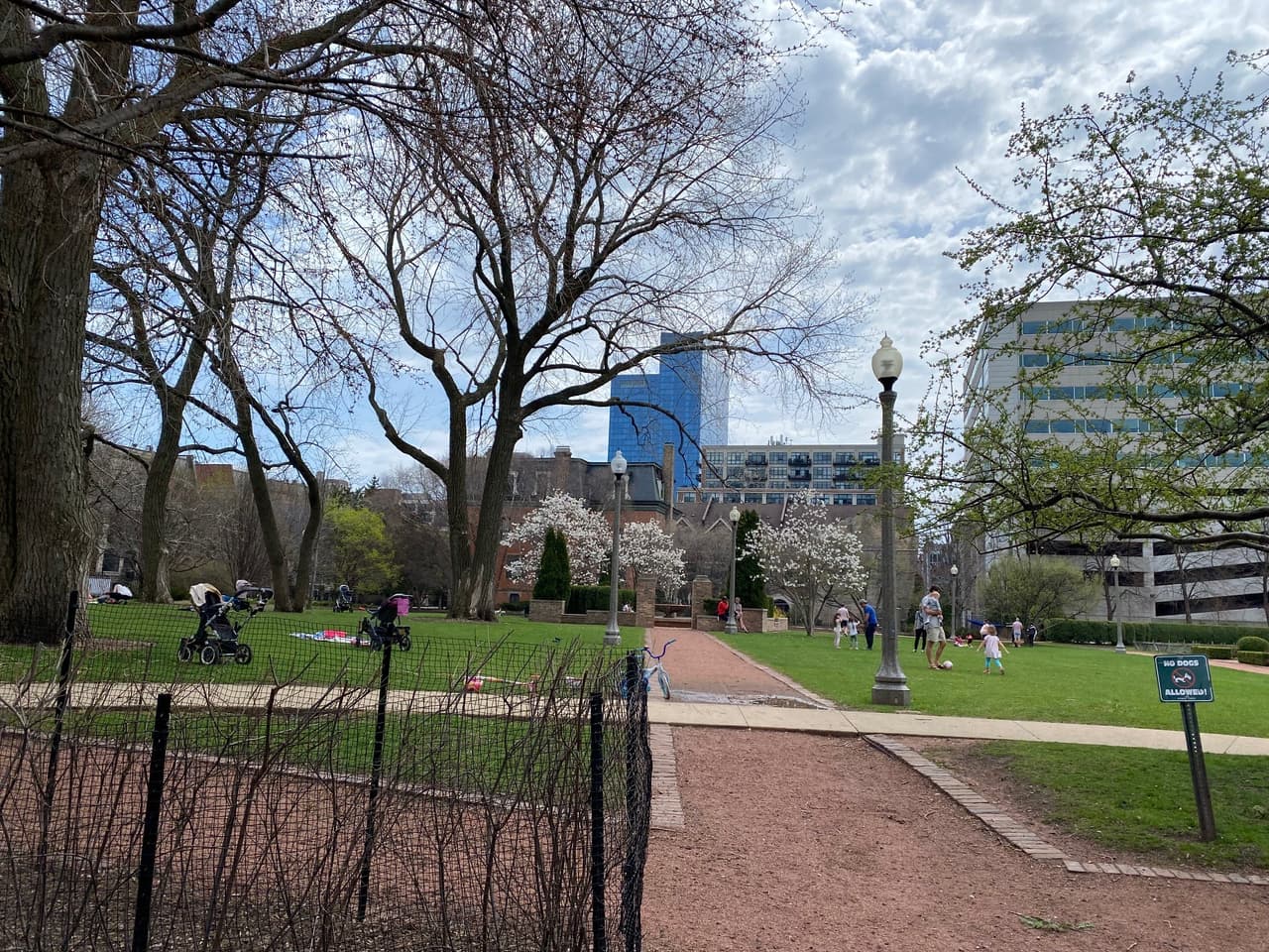 Habitantes de Chicago así disfrutaron del calor. No es de extrañar que las personas aprovecharan el día para pasear en bicicleta, patinetas o caminar, sacar a sus mascotas, sentarse a tomar el sol.