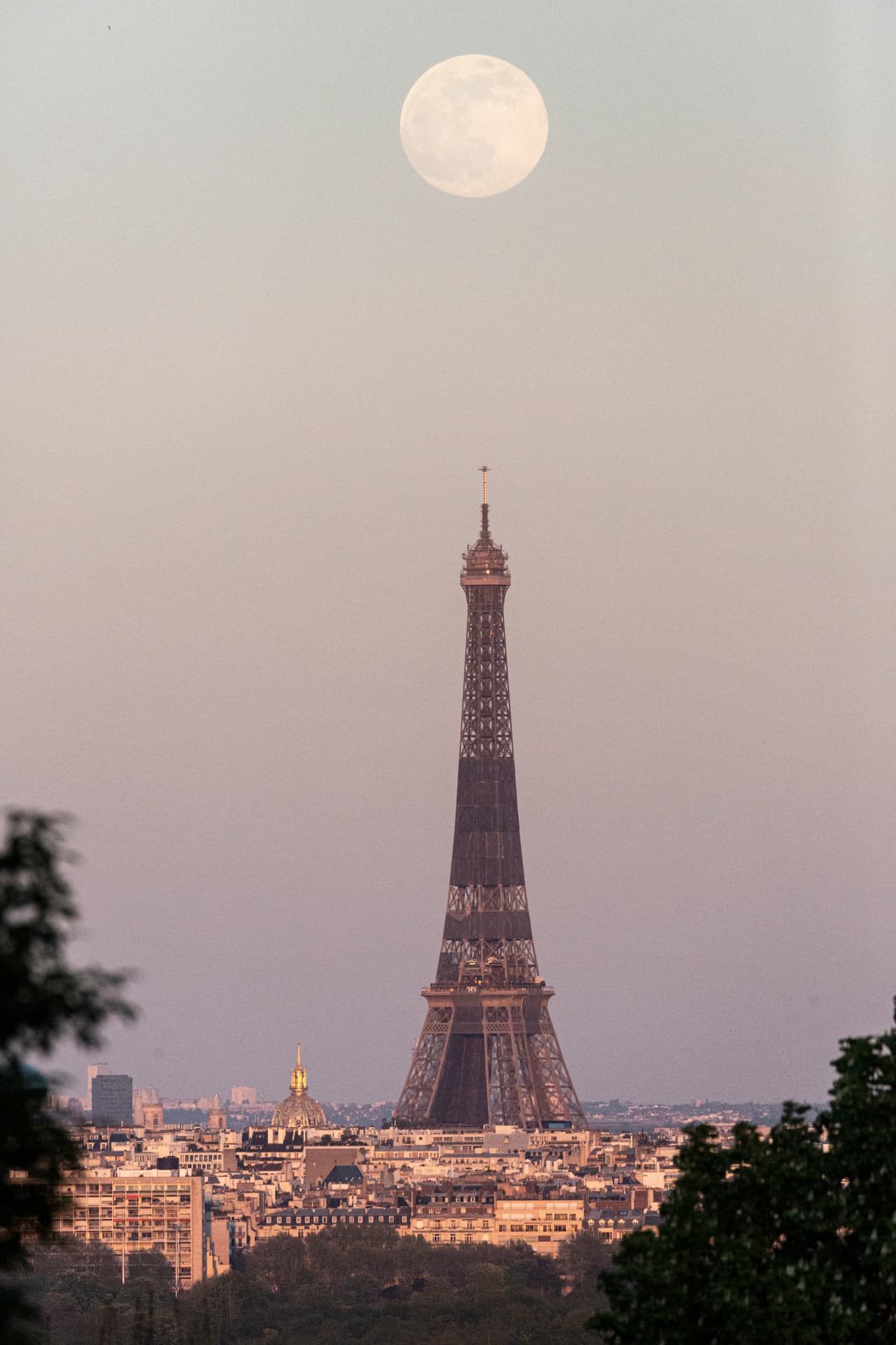 Con la luna llena de este lunes en un punto de la órbita más próximo con nuestro 
<a href="https://www.univision.com/temas/planeta">planeta</a>, en el cielo se podrá ver la primera superluna de 2021, 
<b>misma que además será rosa. </b>
<br>
<br>En imagen, este fenómeno se eleva sobre la Torre Eiffel.