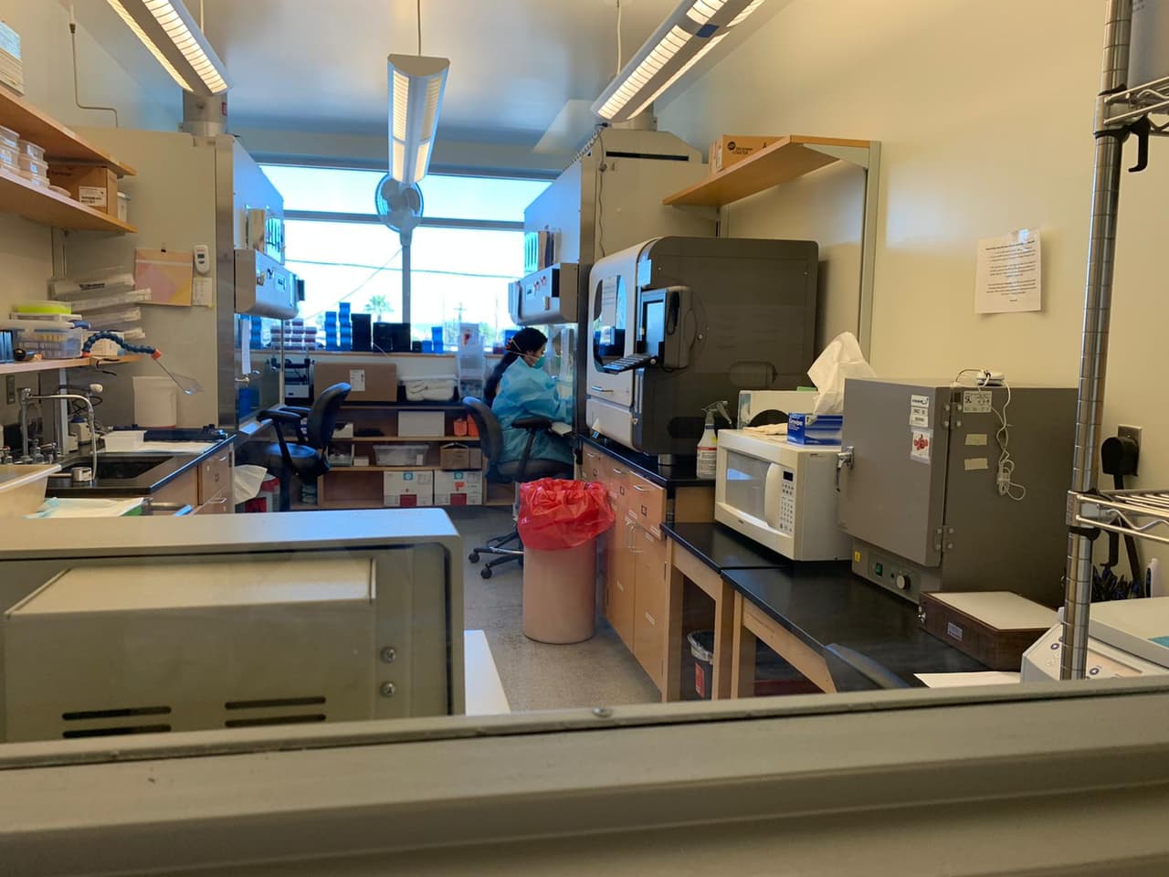 Llegan a 5,459 los casos de coronavirus en Arizona; 229 personas han perdido la vida