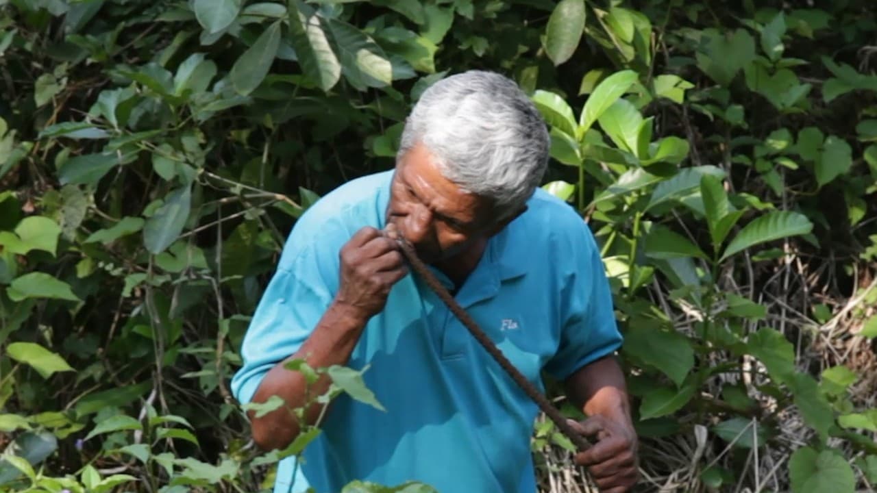 From laying bricks to searching for bodies: this bereaved father helped find Mexico’s largest mass grave