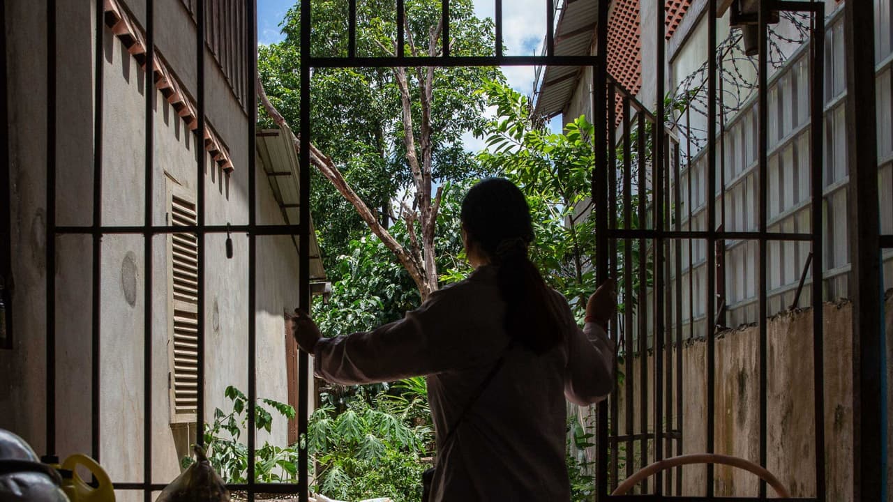 La violencia doméstica representa casi la mitad de los homicidios en Grand Prairie