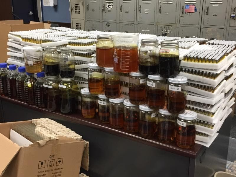 Decomisan cargamento de droga valorado en 20 millones de dólares